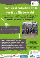 Chantier d’entretien de la forêt du Niederwald