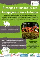 Étranges et inconnus, les champignons sous la loupe !