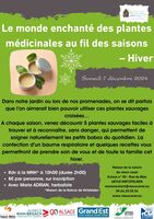 Le monde enchanté des plantes médicinales au fil des saisons – Hiver