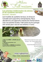 Les plantes médicinales du stress et du système nerveux