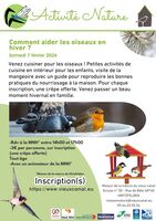 Comment aider les oiseaux en hiver ?