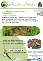 SORTIE : Les crapauds amoureux à Meyenheim