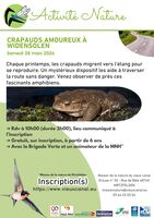 SORTIE : Les crapauds amoureux à Widensolen