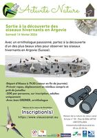 SORTIE : Sortie à la découverte des oiseaux hivernants en Argovie