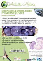 CHAMPIGNONS D'ARRIÈRE-SAISON ET HIVERNAUX EN PLAINE