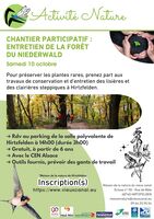CHANTIER PARTICIPATIF : ENTRETIEN DE LA FORÊT DU NIEDERWALD