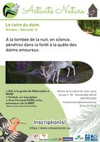 Le raire du daim