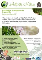 Ensemble, protégeons la fraxinelle