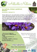 Le safran, trésor caché en Alsace