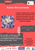 Autour de la lavande