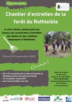 Chantier d'entretien de la forêt du Rothleible