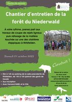 Chantier d'entretien de la forêt du Niederwald