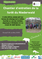 Chantier d'entretien de la forêt du Niederwald