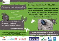 En quête de minuscules