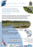 JEUDI NATURE ET CULTURE : LE RHIN DE BIESHEIM À BALTZENHEIM, UNE ZONE  RENATURÉE À DÉCOUVRIR