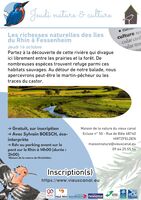 Les richesses naturelles des îles du Rhin à Fessenheim