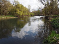 Eiblen,Illfeld : Biodiversité et services écosystémiques, Trames vertes et bleues.