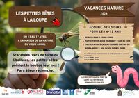 LES PETITES BÊTES À LA LOUPE (matin)