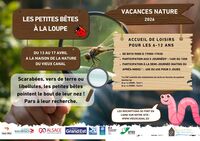 LES PETITES BÊTES À LA LOUPE (après-midis)